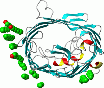 Image Asym.Unit - manually