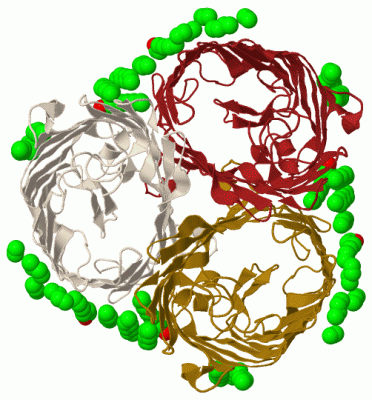 Image Biol.Unit 1 - manually