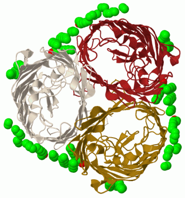 Image Biol.Unit 1 - manually