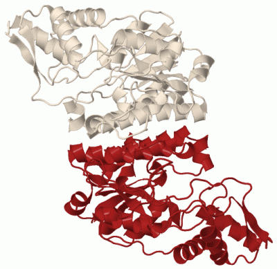 Image Biol.Unit 1 - manually