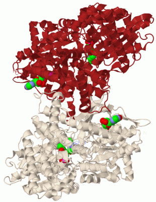 Image Biol.Unit 1 - manually