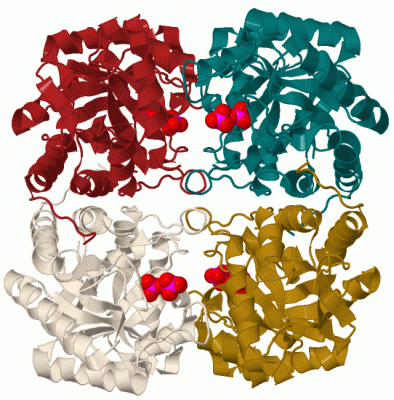 Image Biol.Unit 1 - manually