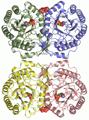 Image Asym./Biol. Unit - manually