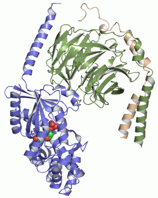 Image Asym./Biol. Unit - manually