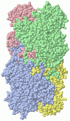 Image Asym./Biol. Unit - manually