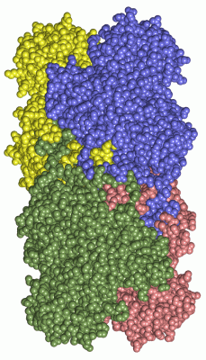 Image Asym./Biol. Unit - manually