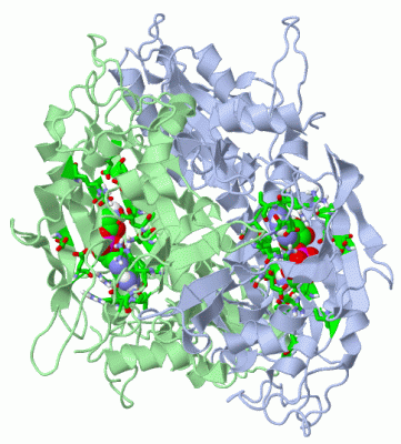 Image Asym./Biol. Unit - manually