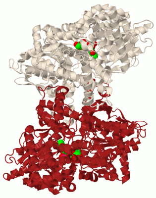 Image Biol.Unit 1 - manually