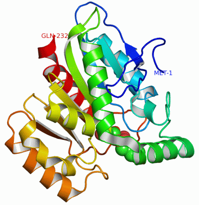 Image Asym./Biol. Unit - manually