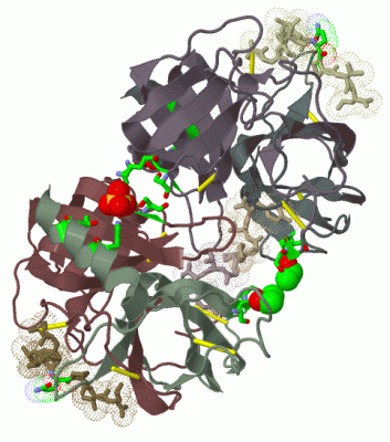 Image Biol.Unit 1 - manually