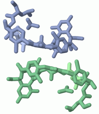 Image Biol.Unit 1 - manually