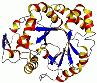 Image Asym./Biol. Unit - manually