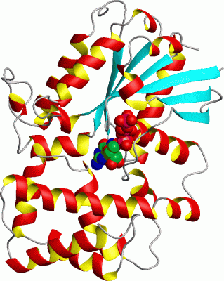 Image Asym./Biol. Unit - manually