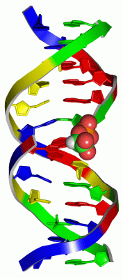 Image Biol.Unit 1 - manually