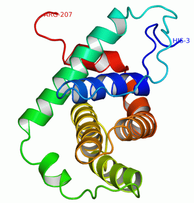 Image NMR Structure - manually