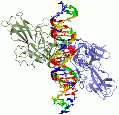 Image Asym./Biol. Unit - manually