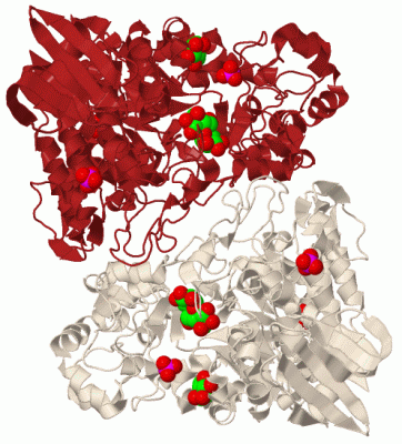 Image Biol.Unit 1 - manually