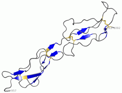 Image NMR Structure - manually