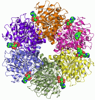 Image Asym./Biol. Unit - manually