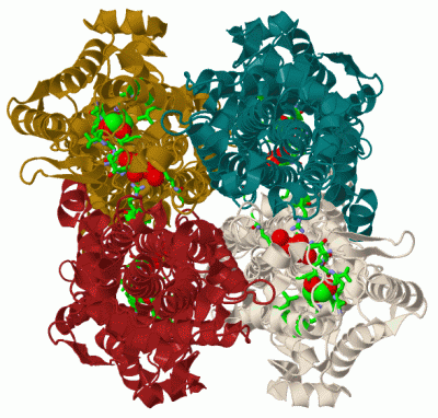 Image Biol.Unit 1 - manually