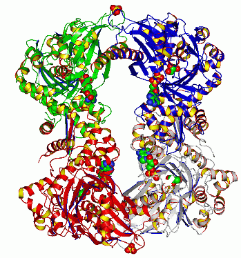 Image Asym./Biol. Unit - manually