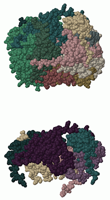 Image Biol.Unit 1 - manually