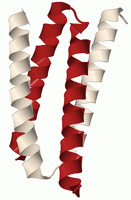 Image Biol.Unit 1 - manually