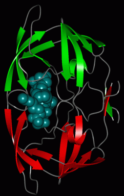 Image Asym./Biol. Unit - manually