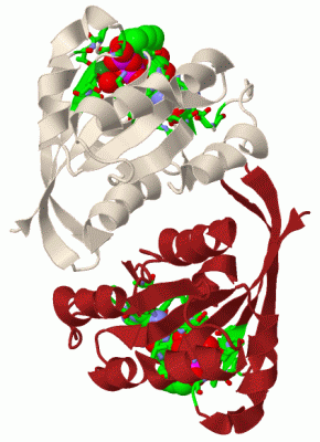 Image Biol.Unit 1 - manually