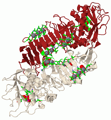 Image Biol.Unit 1 - manually