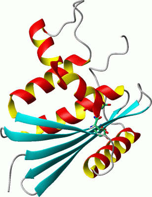 Image Asym./Biol. Unit - manually