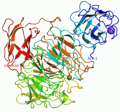 Image Asym./Biol. Unit - manually