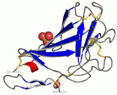 Image Asym./Biol. Unit - manually