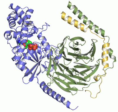 Image Asym./Biol. Unit - manually