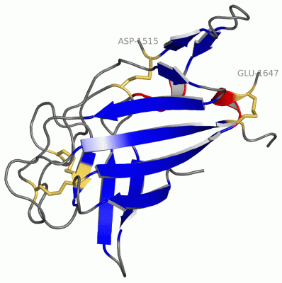 Image Asym./Biol. Unit - manually