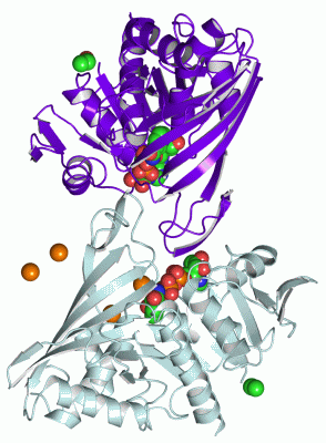 Image Asym./Biol. Unit - manually