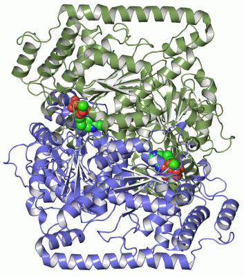 Image Asym./Biol. Unit - manually