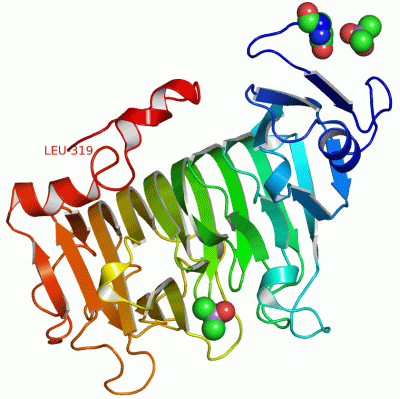 Image Asym./Biol. Unit - manually