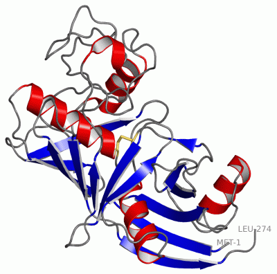Image Asym./Biol. Unit - manually