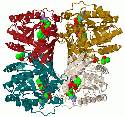 Image Biol.Unit 1 - manually