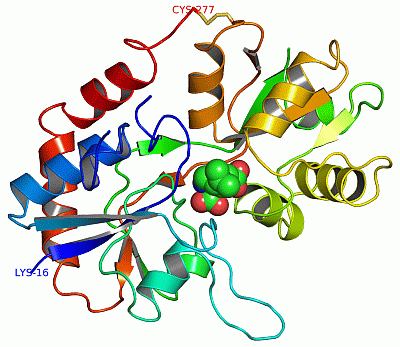 Image Asym./Biol. Unit - manually