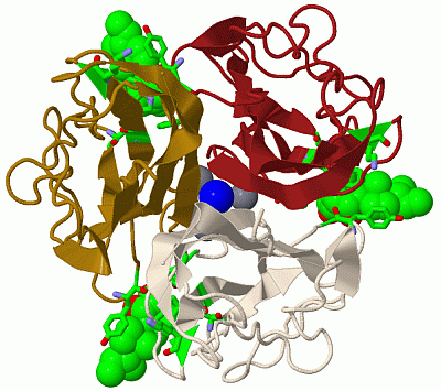 Image Biol.Unit 1 - manually