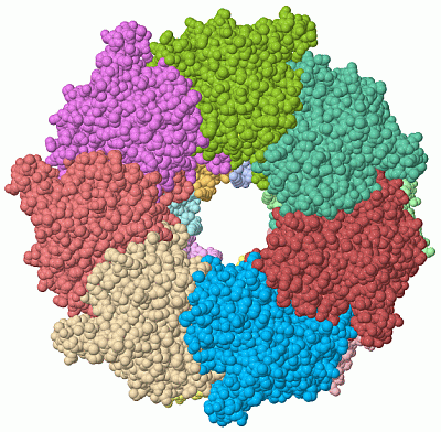 Image Asym./Biol. Unit - manually