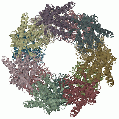 Image Biol.Unit 1 - manually