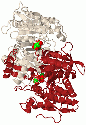 Image Biol.Unit 1 - manually