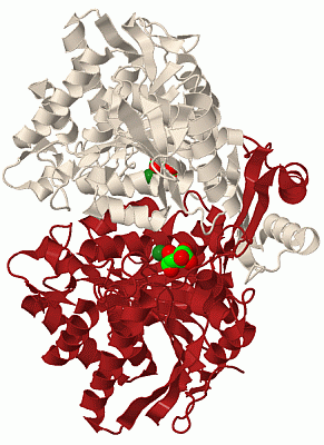 Image Biol.Unit 1 - manually