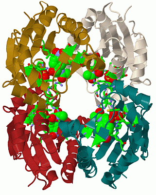 Image Biol.Unit 1 - manually