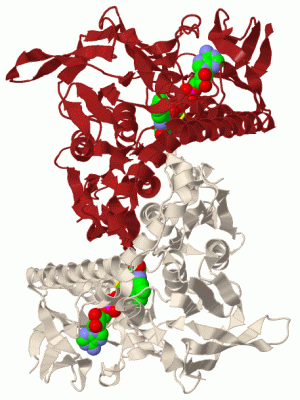 Image Biol.Unit 1 - manually