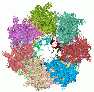 Image Asym./Biol. Unit - manually