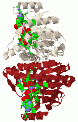 Image Biol.Unit 1 - manually